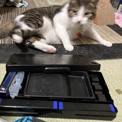 習字道具の画像