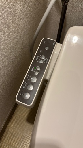 LIXIL(リクシル) INAX 温水洗浄便座 貯湯式 シャワートイレ オフホワイト CW-RG1/BN818thy