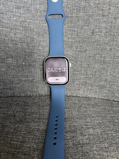 極上品　Apple Watch 10(GPS) 46mm　