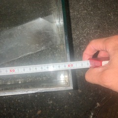 水槽　メダカ　金魚の画像