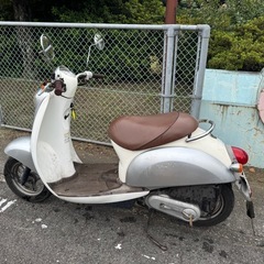 ホンダ　スクーピー 50cc バイクの画像