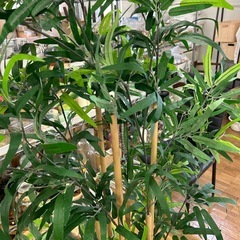 フェイク観葉植物（竹）の画像