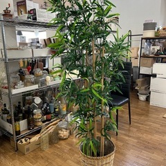 フェイク観葉植物（竹）の画像