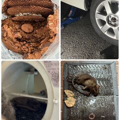 町のカギ屋さん　草刈 / 伐採 / 剪定できる便利屋さん作業員を募集してます！　※11月11日迄の画像