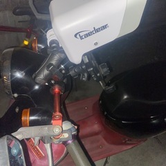 【10/31まで】ホンダ  ジョルノデラックス【バイク】の画像