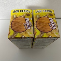 【2個セット】フレッシュライトメガメガブリーチの画像