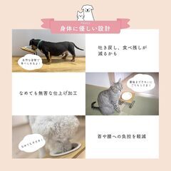 solania フードスタンド フードボウル シングルの画像