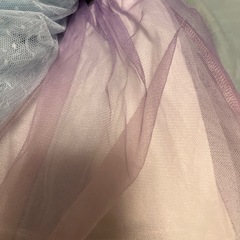 チュール付きズボンの画像