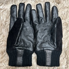 IL BISONTE / グローブ 
の画像