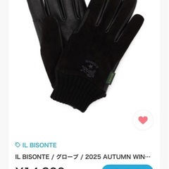 IL BISONTE / グローブ 
の画像