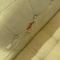 【傷あり】ソファの画像