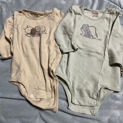 プティマイン　長袖ボディの画像