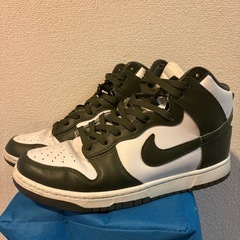 ナイキ ダンク 27cmの画像