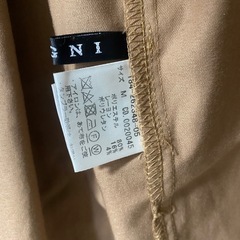 ２着　INGNI シャツワンピの画像