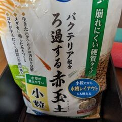 めだかグッズまとめて10点位 エサ ケース ボウル 赤玉 等の画像