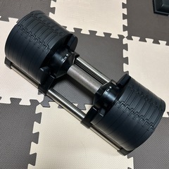 【美品】NÜOBELL フレックスベル FLEXBELL 可変式ダンベル 32kg 2kg刻み シルバーの画像