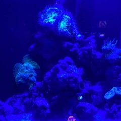 LINE友達、電話友達、リア友達募集