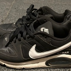 【NIKE】エアマックスレディース（24.5cm）の画像