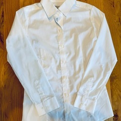 ブラウス　ワイシャツの画像