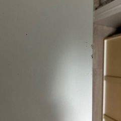 女性1年間使用　棚の画像