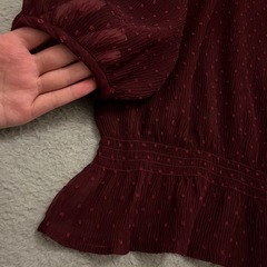 シアーブラウスの画像