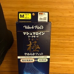 ワークマン安全長靴+中敷きの画像