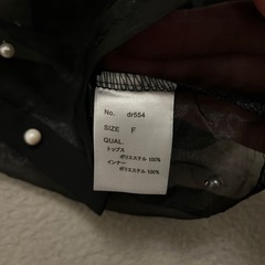 パールオーガンジーシャツの画像