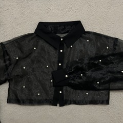 パールオーガンジーシャツの画像