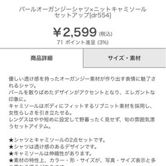 パールオーガンジーシャツの画像