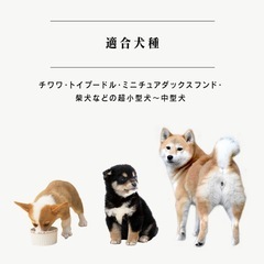 ペットサークル 犬 サークル 折りたたみ 折り畳み ケージ ゲージ 小型犬 8角形 多頭飼い うさぎ 小動物 ペットフェンス フェンス ゲート 8枚 8面 パネル サークル 八角形アイリスオーヤマの画像