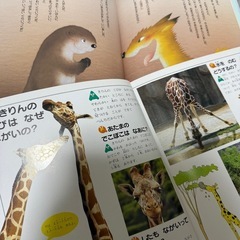 【美品】絵本 まとめ売りの画像