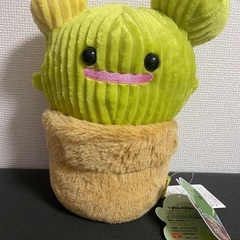 新品未使用　サボりん サボるん サボテンぬいぐるみ2個セットの画像