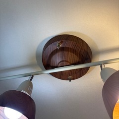 アートワークスタジオ　ハーモニーグランデリモートシーリングランプ
の画像