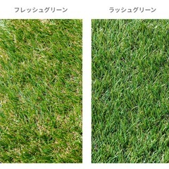 人工芝　2m×10m 1本の画像