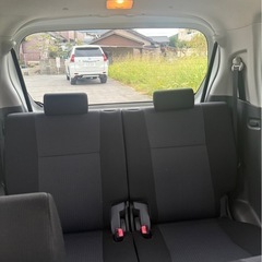 スティングレーの画像