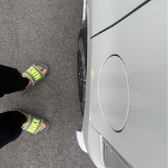 スティングレーの画像