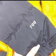 THE NORTH FACE Summit Series ダウンジャケットの画像