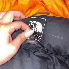 THE NORTH FACE Summit Series ダウンジャケットの画像