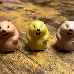 だまることを知らないマーモットの画像