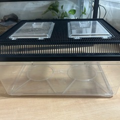 プラケース 特大フラット 黒蓋 鈴木製作所の画像