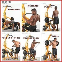 美品 POWERTEC/パワーテック 社製 レバレッジシステム WB-LS20(ベンチは中古扱い) ホームトレーニングの決定版/ホームジム 最高峰レベル 手渡し希望/自社配送可能（配送エリアについてお問い合わせください )の画像