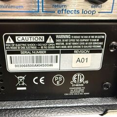 【10回未満、極美品】AMPEG(アンペグ) MICRO-VR HEAD + SVT-210AV セットの画像