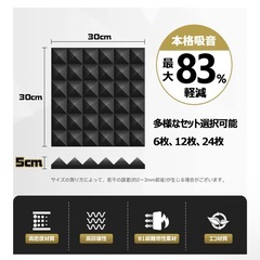 【11月末まで500円】吸音材 防音材12枚セットの画像