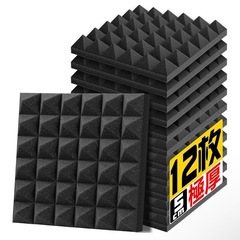 【11月末まで500円】吸音材 防音材12枚セットの画像