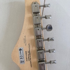FGN（フジゲン）EOS-AL-R/AWH（中古）の画像