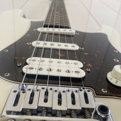 FGN（フジゲン）EOS-AL-R/AWH（中古）の画像