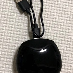 決まりました。未使用品　イヤホンの画像