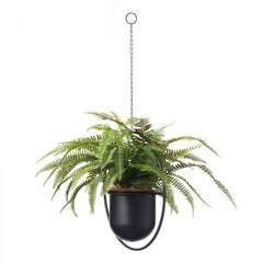 【未使用】シダ アイアン ハンギング 観葉植物 フェイクグリーンの画像