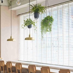 【未使用】シダ アイアン ハンギング 観葉植物 フェイクグリーンの画像