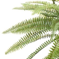 【未使用】シダ アイアン ハンギング 観葉植物 フェイクグリーンの画像